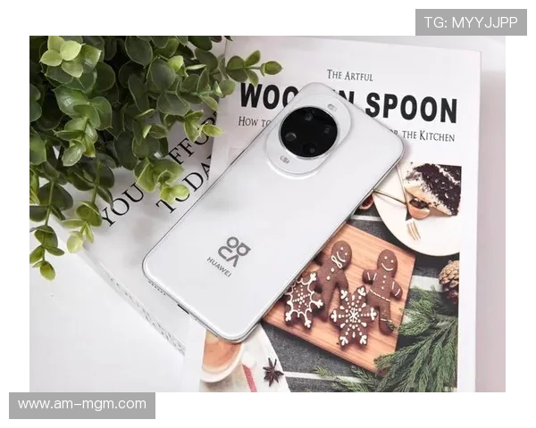 华为畅玩游戏更流畅的手机推荐,高性能与游戏体验并重的最佳选择 华为畅玩游戏更流畅的手机推荐,高性能与游戏体验并重的最佳选择